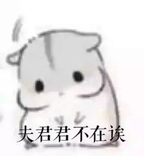 慧大大情侣堆糖,美好生活研究所
