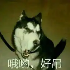 晨读感悟看得远点再远点
