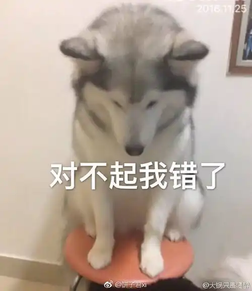 rw真的铁five
