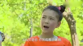 舞法天女圣彩云国内,女王大人给大家发布了任务