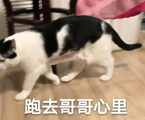 表情包怼天怼地无所畏惧