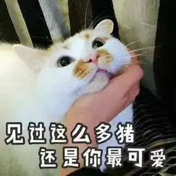 表情包有必要,但不可以

