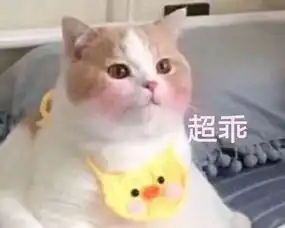 九江同心,龙舟同行九江龙,必胜
