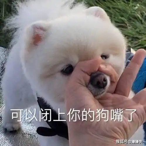闭嘴表情包只要哥哥长得好,一杯清水我就倒
