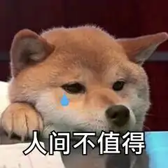 科颜氏男士和碧欧泉男士该如何选择
