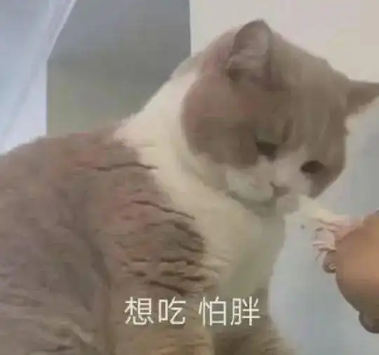 超萌猫咪表情包,你喜欢哪一只
