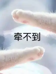 猫咪牵手表情包牵宝宝的手
