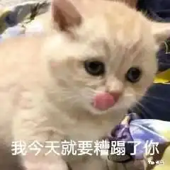 十三月三十二日的相册沙雕表情包
