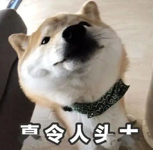 干货满满深圳线上创业大讲堂开讲啦
