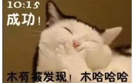 上班喵的一天,不能再苦逼了而这,就是我们的生活
