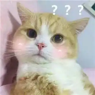 猫除了用来吸,还能干什么吗
