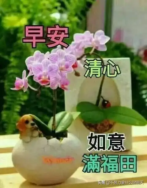 早安问候美图暖心文字,最新版早上好温馨祝福语
