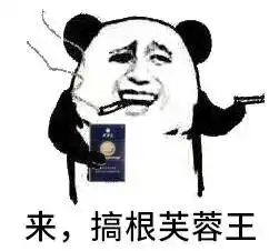 带打火机了吗暴走熊猫表情包下载乐游网游戏下载
