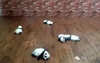 注意明天起,北京大降温一场秋雨一场寒的季节要开始啦
