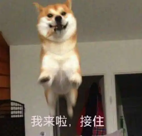 在轻视频了解一下
