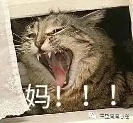 孩子这种生物,是没有睡眠这种本能么

