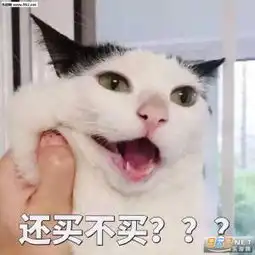 猫咪还买不买表情图片合集我要这个你给我买这个猫咪表情包下载乐游网...
