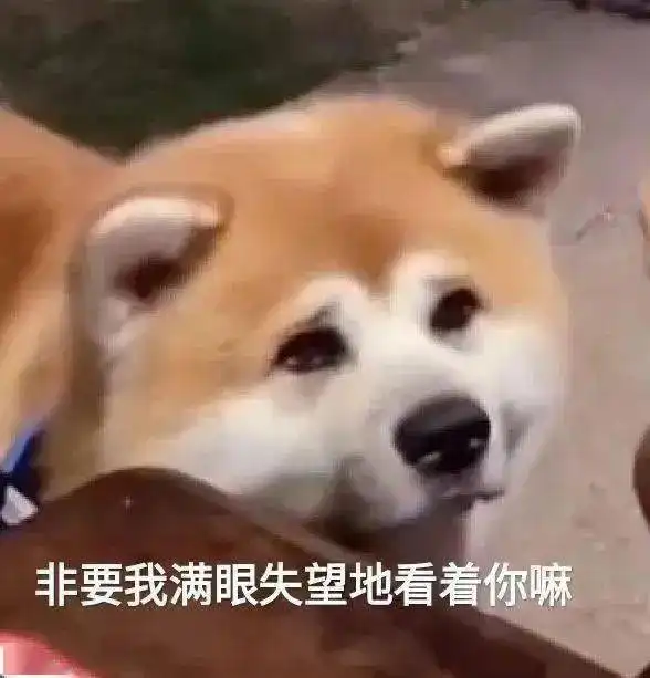 聊天的沙雕表情包又增加了,让我看看谁没存
