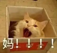春节你赶紧过去吧
