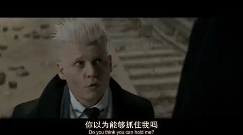 德普成邓布利多的有生之年不能幸免真神仙爱情在哪里

