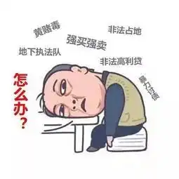 雷州公安纪录片三十年如一日的扫黑除恶先锋
