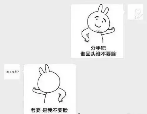 对方不和想你聊天,并给你丢了一个表情包
