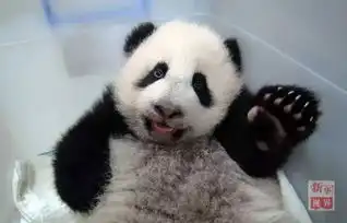 世界问候日你好吗我很好
