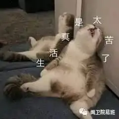 购物狂欢节双十一
