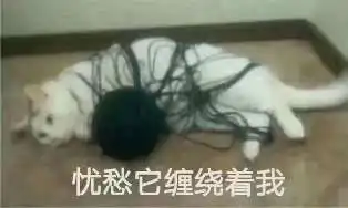 沙雕表情包在作死的边缘试探
