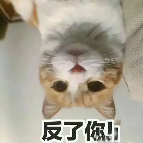 十条笑话儿子喜欢上隔壁家女儿,我该怎么办
