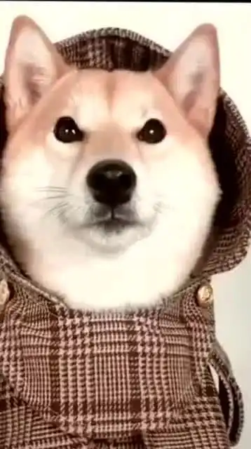 我会拍照做表情,你会吗
