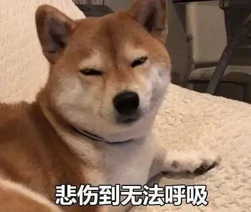 今年双十一,这些消费服务被投诉最多
