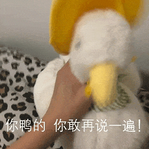 日常沙雕搞笑表情
