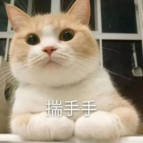 哔哩哔哩专栏
