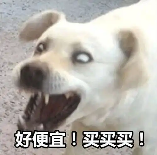 2021天猫双11梦幻攻略,抢到1111,清空购物车
