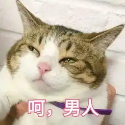 千万别跟北京人谈恋爱,因为你会......
