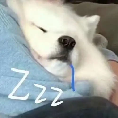 憨憨

