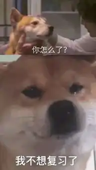 表情包丨会说话你就开个演唱会
