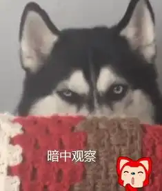 忧郁脸哈士奇走红,从不拆家也不吵,铲屎官却快抑郁了
