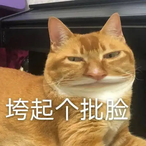 网红猫敦敦突然去世,我的表情包终究还是离开了我猫王喵星胰腺炎网易订阅
