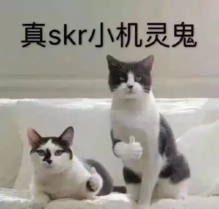 skr到底是什么意思最全skr表情包合集别说话skr就完了
