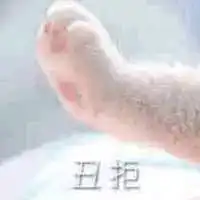 情侣牵手猫爪表情包,收好不谢
