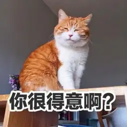 北京人,请说北京话
