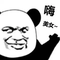 嗨美女熊猫头撩妹表情包撩妹熊猫美女表情

