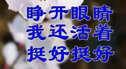 听说现在的年轻人都佛系了
