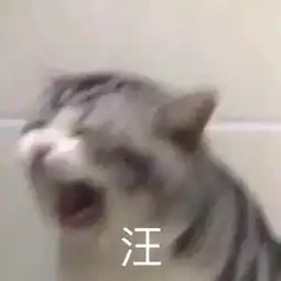 明日之子by2实力归来,娱乐圈竟有这么多sister
