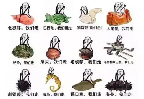 2017年度盘点丨这些屌得不行的商标,结局都如何了
