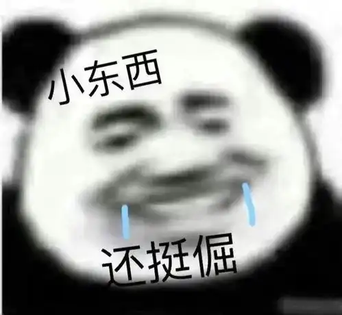 表情包,做个开心的小可爱
