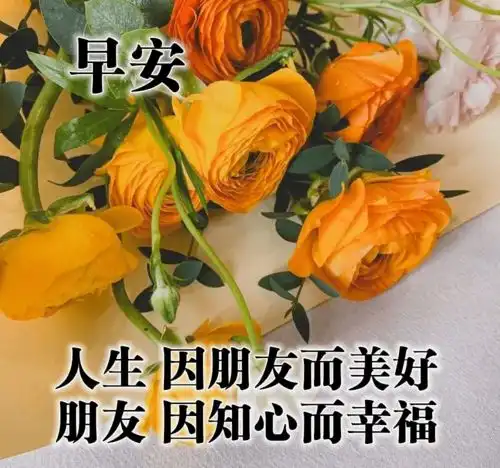 清晨祝福
