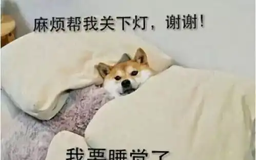 你有没有为自己的智商拼过命
